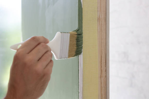 Trusted Palmview South, TX Mold Removal Experts