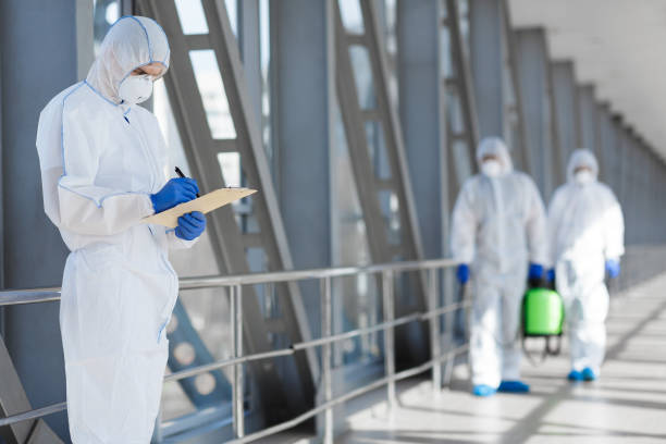 Best Mold Remediation for Healthcare Facilities  in Palmview South, TX