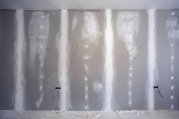 Best Residential Mold Inspection & Testing  in Palmview South, TX