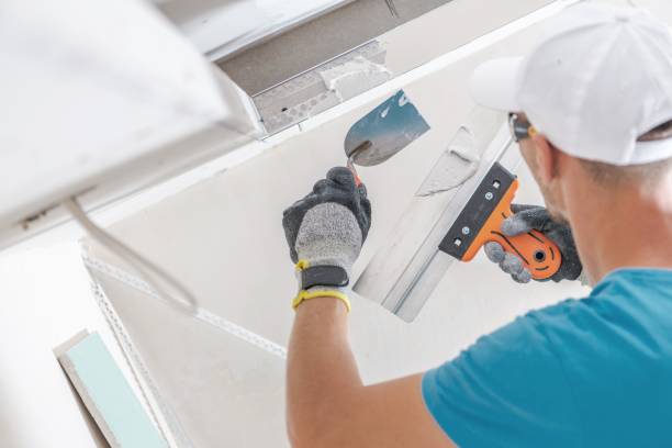 Best Mold Documentation for Insurance Claims  in Palmview South, TX